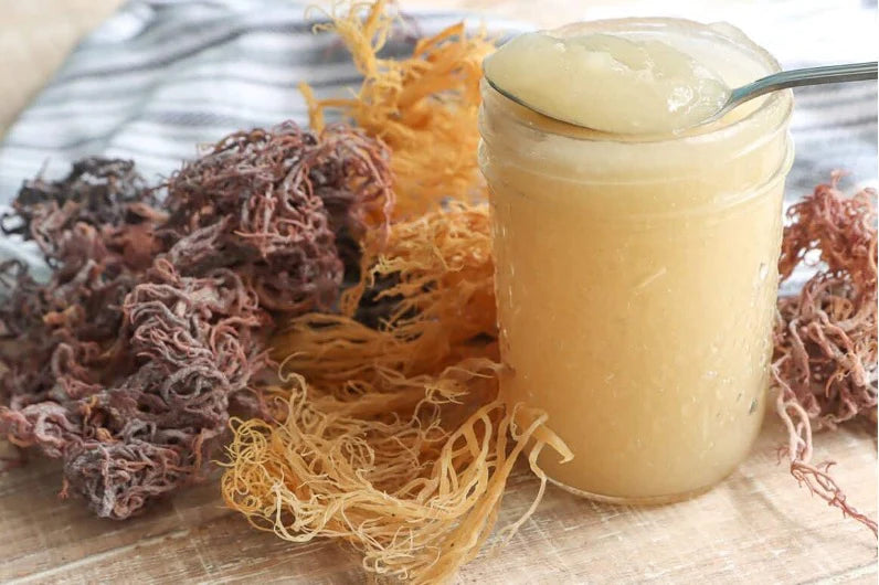 Sea Moss Gel (16 oz)